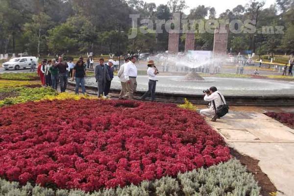 Proyecto Integral de Paisaje