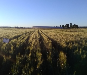 Silos de agua