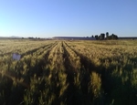 Silos de agua