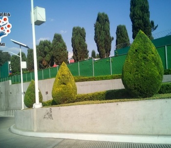 ARBOLES EN EL JARDÍN