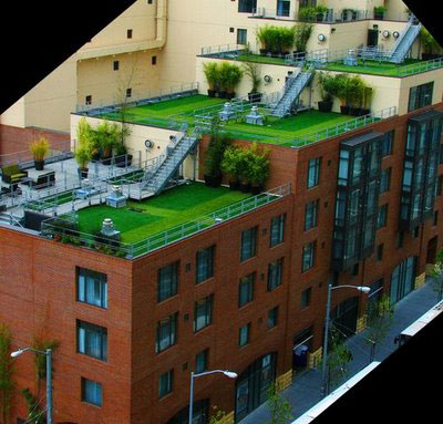 roof-garden1.jpg