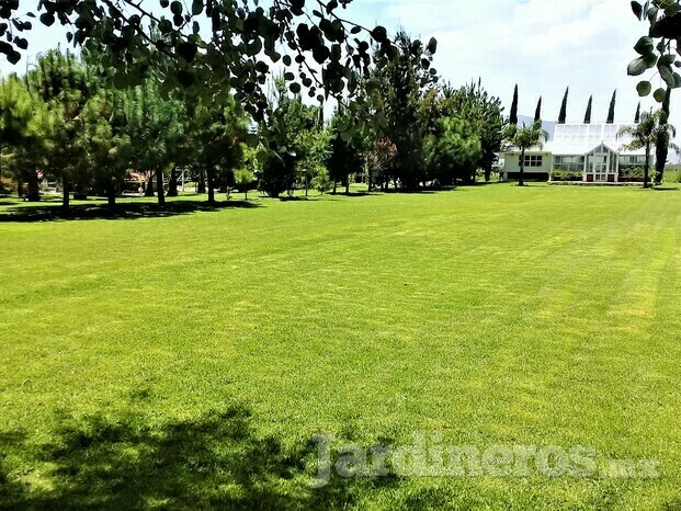 Jardinería y Riego Residencial  