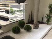 Planta E jardinería y limpieza profesional