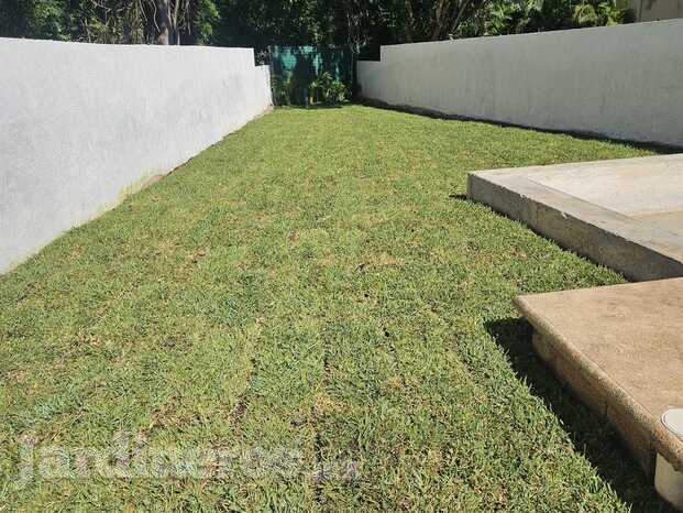 Instalación de Jardín en casa habitación