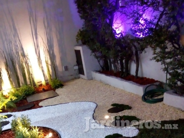 Jardín exterior con iluminación 