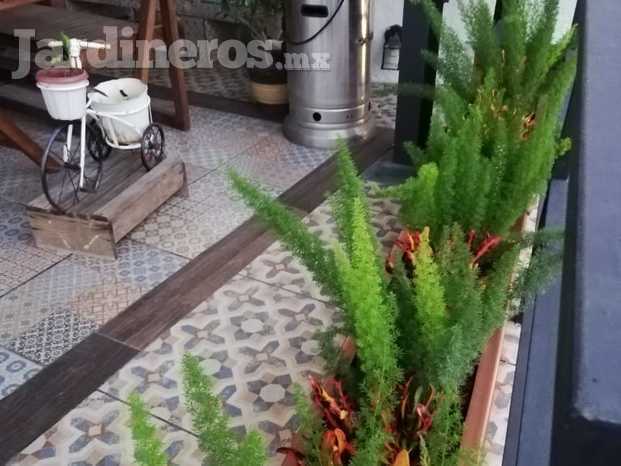 Jardinera en terraza 