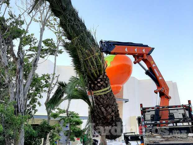 TRABAJOS EN OBRAS REALIZADOS