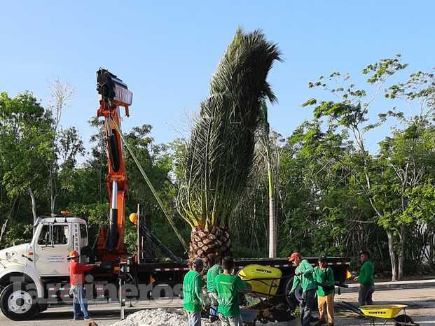 TRABJAOS EN OBRAS